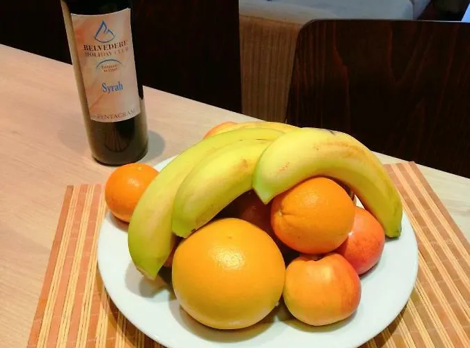 公寓式酒店 Belvedere Club 班斯科